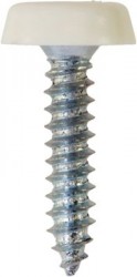 Number Plate FastenersSelf-Tappers with Plastic Head