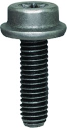 Body Screws
