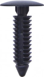 Tim Buttons - Fir-Tree