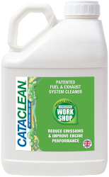 CATACLEAN Workshop