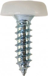 Number Plate Fasteners - Self-Tappers with Plastic Head 