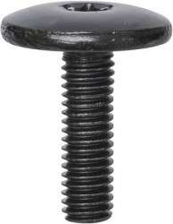 TX Bumper Bolts