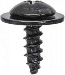 Bumper Cover PH Screws