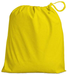 EV Face Shield Protective Bag
