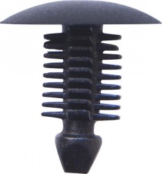 Tim Buttons - Fir-Tree