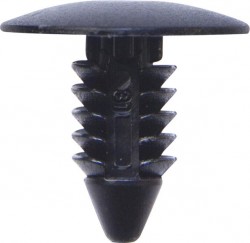 Tim Buttons - Fir-Tree