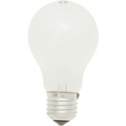 Rough Service Bulbs - Edison Screw
