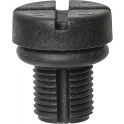 Vent screws