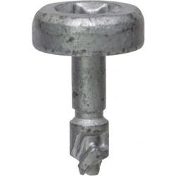Insulator Screws