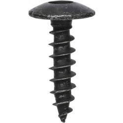 TX Body Screws
