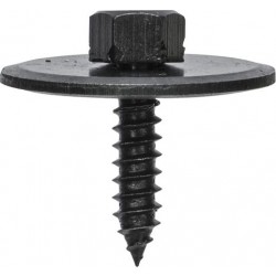 Hex Screws