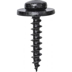 TX Screws