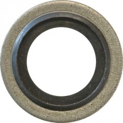 Bonded Seals (Dowty Washers) - BSP