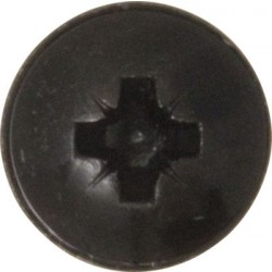 'Everyday' ESSENTIALS Self-Tapping Screws Flanged Head - Pozi Black