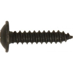 Self-Tapping Screws Flanged Head - TORX&reg; Black