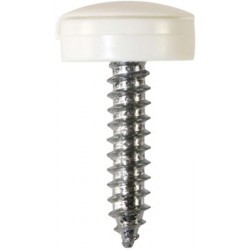 Number Plate Fasteners - Self-Tappers with Hinged Caps 