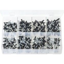 Assortment Box of Black Rivets