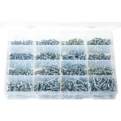 'Max Box' Assortment of Self-Tapping Screws Pan Head - Pozi