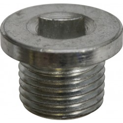 Sump Plugs - PEUGEOT, CITRO&Euml;N/RENAULT Type