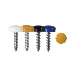 'Everyday' ESSENTIALS Mixed Number Plate Fasteners - Self-Tappers with Hinged Caps 