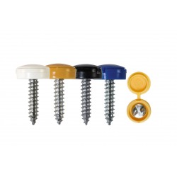 'Everyday' ESSENTIALS Mixed Security Number Plate Fasteners - Self-Tappers with Hinged Caps 