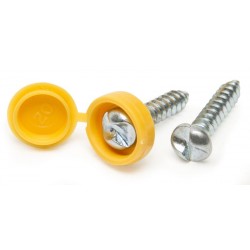 Security Number Plate Fasteners - Self-Tappers with Hinged Caps 