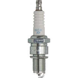 NGK Spark Plugs