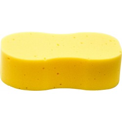 Jumbo Sponges