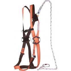 DELTAPLUS Restraint Work Harness Kit