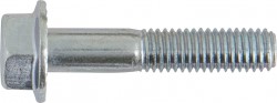 Serrated Flanged Bolts - Metric