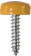 'Everyday' ESSENTIALS Number Plate Fasteners - Self-Tappers with Hinged Caps 
