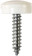 'Everyday' ESSENTIALS Number Plate Fasteners - Self-Tappers with Hinged Caps 