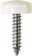 Number Plate Fasteners - Self-Tappers with Hinged Caps 