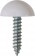 Number Plate Fasteners - Self-Tappers with Domes and Cups 