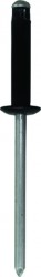 Body Trim Rivet