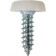 Number Plate Fasteners - Self-Tappers with Plastic Head 