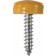 'Everyday' ESSENTIALS Number Plate Fasteners - Self-Tappers with Hinged Caps 