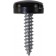 'Everyday' ESSENTIALS Number Plate Fasteners - Self-Tappers with Hinged Caps 