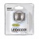 RING LED 6000k Ice White Bulb