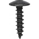 TX Body Screws