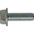 Serrated Flanged Set Screws - Metric