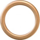 Sump Plug Washers - Oval Section Copper