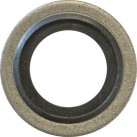 Bonded Seals (Dowty Washers) - Metric