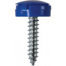 'Everyday' ESSENTIALS Number Plate Fasteners - Self-Tappers with Hinged Caps 