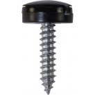 'Everyday' ESSENTIALS Number Plate Fasteners - Self-Tappers with Hinged Caps 