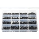 'Max Box' Assortment of Self-Tapping Screws Flanged Pan Head - Pozi