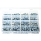 'Max Box' Assortment of Self-Tapping Screws Pan Head - Pozi