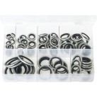 Bonded Seals (Dowty Washers) - BSP
