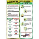 EV Electric Shock & CPR Poster