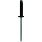 Body Trim Rivet